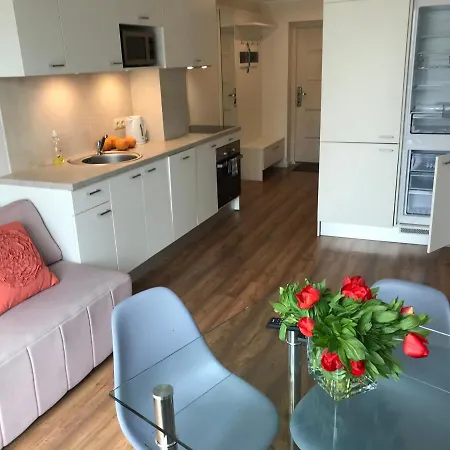 Florance With Terraces & Parking Apartament